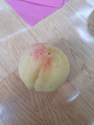 해송님의 농사, 무엇이든 물어보세요! · 참여글 작성글 사진