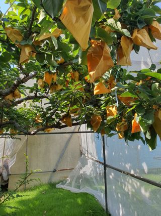 하나라도 소중하게님의 배 · 일상 작성글 사진