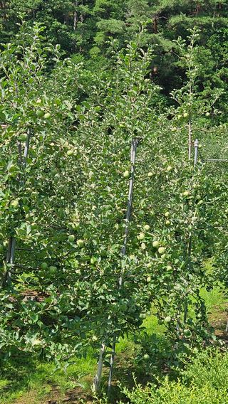 김둘점님의 작성글 사진