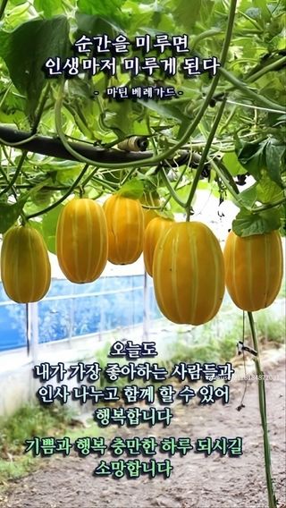 MSG0074님의 자유주제 · 자유게시판 작성글 사진