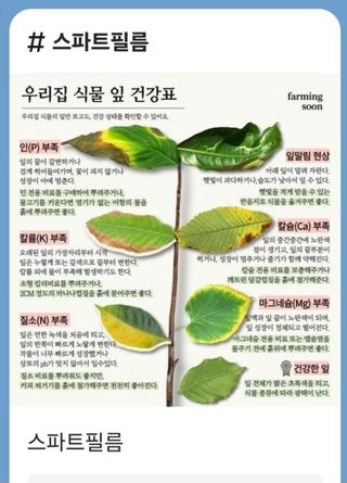 김둘점님의 작성글 사진
