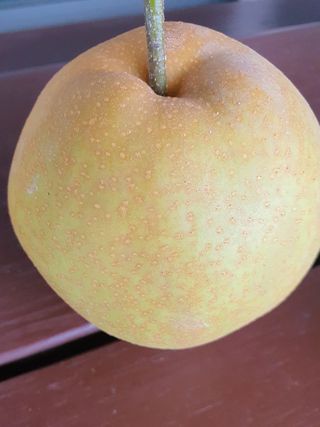 하나라도 소중하게님의 배 · 일상 작성글 사진