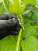 팜모닝 자유주제·자유게시판 게시글 이미지