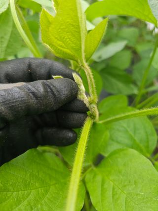 farmer님의 자유주제 · 자유게시판 작성글 사진