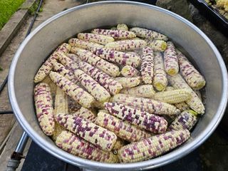 홍천산채농원님의 자유주제 · 자유게시판 작성글 사진