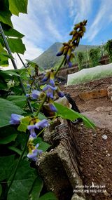 팜모닝 농사, 무엇이든 물어보세요!·참여글 게시글 이미지