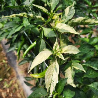 유원준님의 자유주제 · 자유게시판 작성글 사진