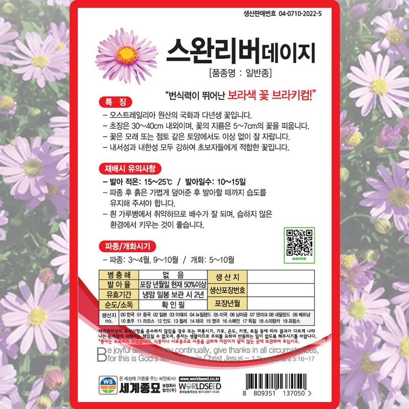 산들마켓,씨앗마켓님의 장터 판매 상품 [스완리버 데이지 씨앗 300립 다년생 보라색꽃 브라키컴 꽃씨 종자 5봉 구매시+랜덤씨앗 1개 증정 ] 첨부 사진