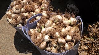 누보농장님의 자유주제 · 자유게시판 작성글 사진