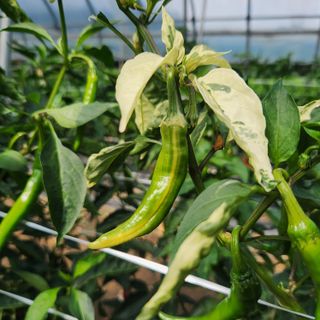 유원준님의 자유주제 · 자유게시판 작성글 사진