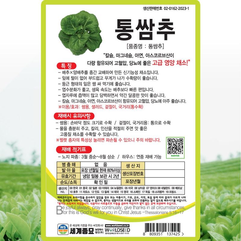 산들마켓,씨앗마켓님의 장터 판매 상품 [통쌈추 씨앗 50립 종자 5봉 구매시+랜덤씨앗 1개 증정 ] 첨부 사진