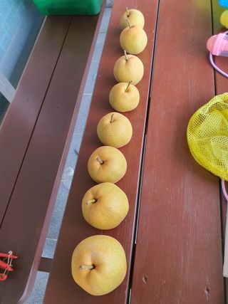 하나라도 소중하게님의 배 · 일상 작성글 사진