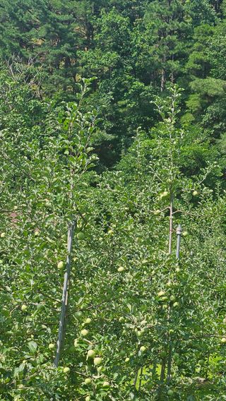 김둘점님의 작성글 사진