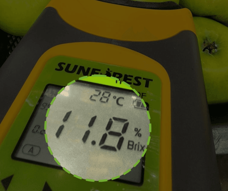 스피드번님의 장터 판매 상품 [(특가) 아오리사과] 첨부 사진