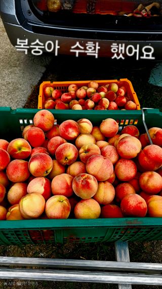 멋진인생님의 자유주제 · 자유게시판 작성글 사진