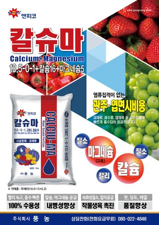 엔피코뉴스님의 자유주제 · 자유게시판 작성글 사진