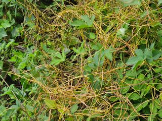 farmer님의 자유주제 · 자유게시판 작성글 사진