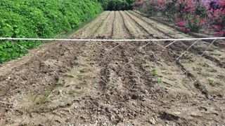 MSG0074님의 자유주제 · 자유게시판 작성글 사진