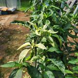 팜모닝 자유주제·자유게시판 게시글 이미지