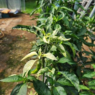 유원준님의 자유주제 · 자유게시판 작성글 사진