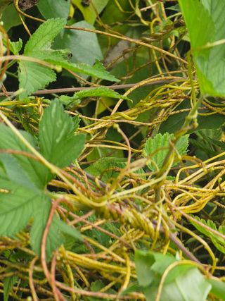 farmer님의 자유주제 · 자유게시판 작성글 사진