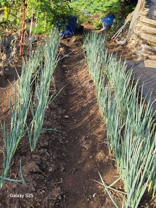 이세순님의 자유주제 · 자유게시판 작성글 사진