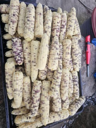 홍천산채농원님의 자유주제 · 자유게시판 작성글 사진