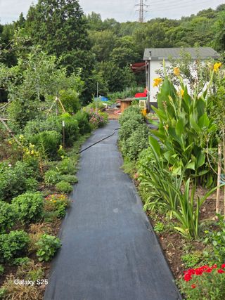 이세순님의 자유주제 · 자유게시판 작성글 사진