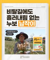팜모닝 자유주제·자유게시판 게시글 이미지