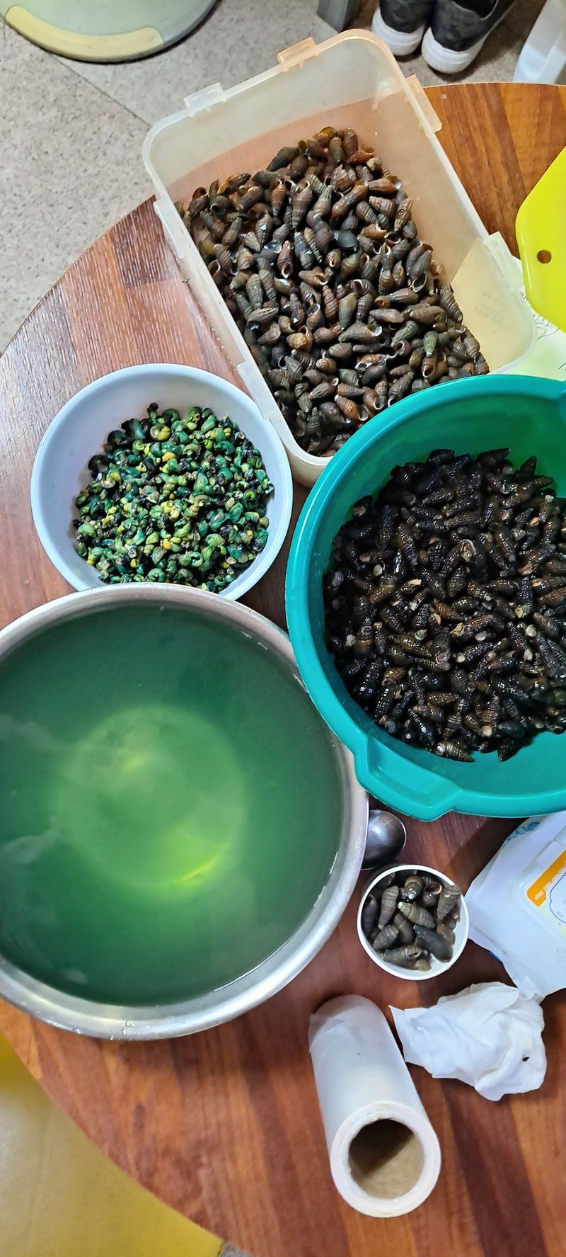 장터 상품 [다슬기] 썸네일