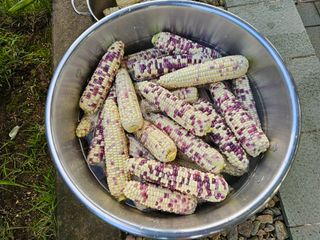 홍천산채농원님의 자유주제 · 자유게시판 작성글 사진