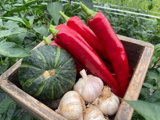 호동댁님의 자유주제 · 자유게시판 작성글 사진