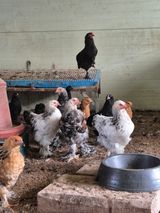 팜모닝 자유주제·자유게시판 게시글 이미지