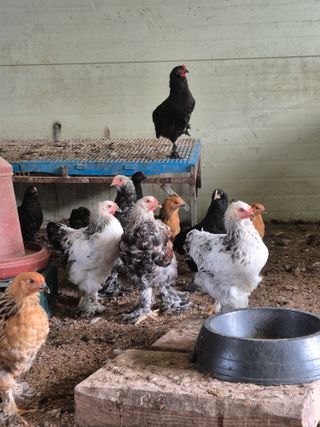 천운산님의 자유주제 · 자유게시판 작성글 사진