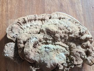 김계희님의 자유주제 · 자유게시판 작성글 사진