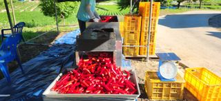 작두콩님의 작성글 사진