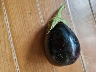 종이박님의 자유주제 · 자유게시판 작성글 사진