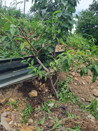 김용대님의 자유주제 · 자유게시판 작성글 사진