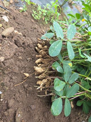 툇골짜기님의 자유주제 · 자유게시판 작성글 사진