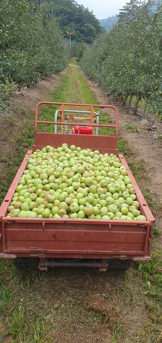 박두우님의 자유주제 · 자유게시판 작성글 사진