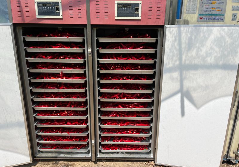 김재우님의 장터 판매 상품 [25년 고춧가루-판매완료-] 첨부 사진