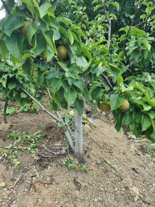 김용대님의 자유주제 · 자유게시판 작성글 사진