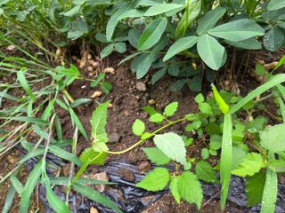 툇골짜기님의 자유주제 · 자유게시판 작성글 사진