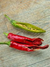 팜모닝 농사, 무엇이든 물어보세요!·참여글 게시글 이미지