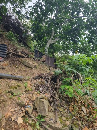 김용대님의 자유주제 · 자유게시판 작성글 사진