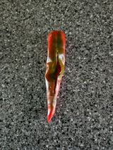 팜모닝 고추·병해충상담 게시글 이미지