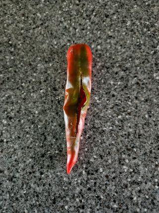 설죽 문평래님의 고추 · 병해충상담 작성글 사진