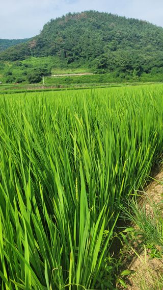 권리를위한투쟁님의 자유주제 · 자유게시판 작성글 사진