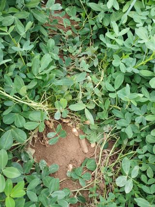 유영옥님의 자유주제 · 자유게시판 작성글 사진