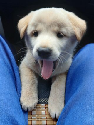 인생은 소풍처럼님의 자유주제 · 자유게시판 작성글 사진